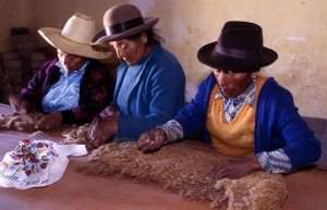 Women Selecting Vicuna Women Selecting Vicuna
